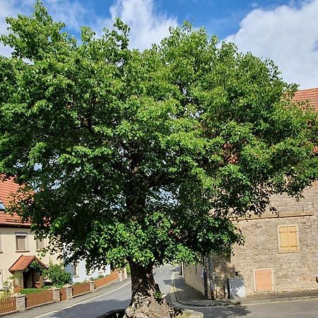 Ferienwohnung Zur Linde デッテルバッハ エクステリア 写真